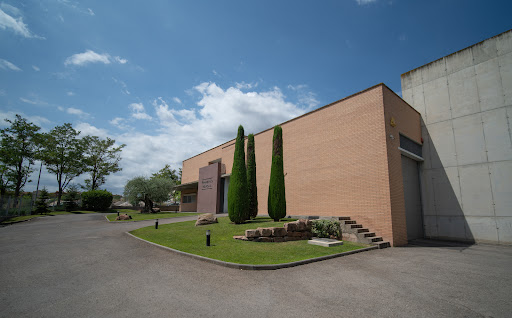 D. Primeras Marcas, S.A.