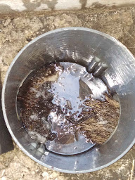 Photo n°6 de Le déboucheur à Cuers (Service d'assainissement)