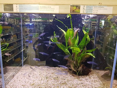Photos of Diebo Pet World