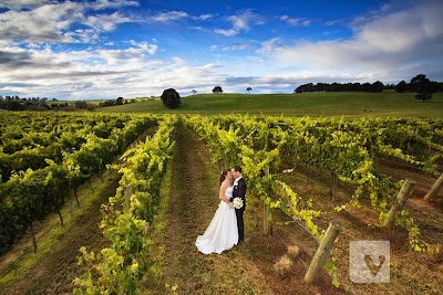 Photos of Southern Highland Wines