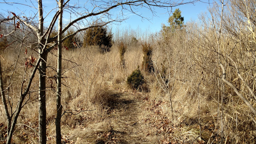 Franklin Point State Park Gallery - United States