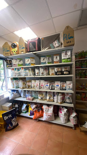 Petstore зоомагазин, Зоомагазин, Київ
