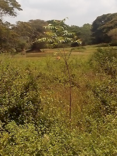 Photos of Udayandaluwa Lake