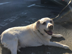 Photo n°13 de Damien Titone Ostéopathe D.O E.I à Aubagne, Praticien NAET, Praticien Méthode Furter, Formateur à Aubagne (Ostéopathe)
