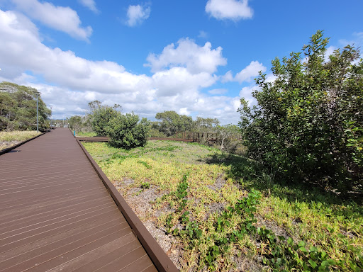 Paradise Mangrove boardwalk - Thumbnail