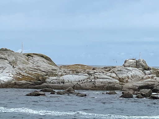 Governor Island Marine Reserve