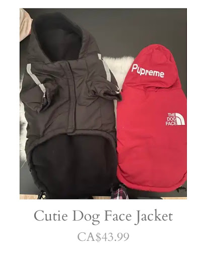 Cutie Paws Boutique Ltd. Gallery - Canada