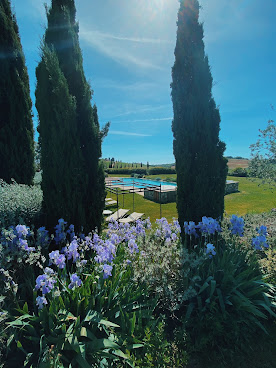 Relais Sant'Elena | Relais di Charme, Vacanze Bibbona Toscana by null