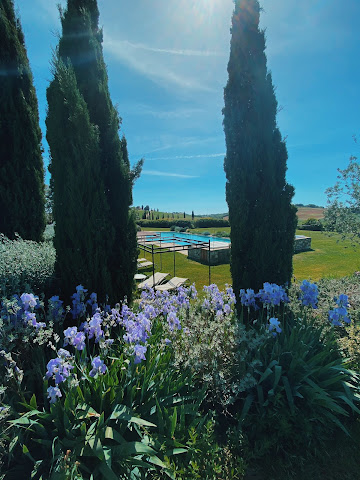 Relais Sant'Elena | Relais di Charme, Vacanze Bibbona Toscana by null