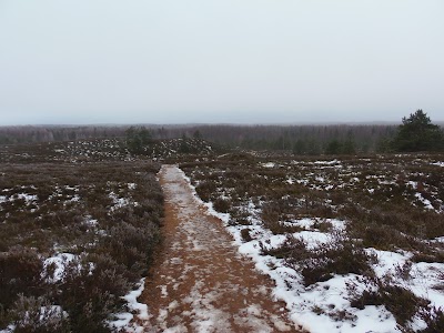 Photos of Jussi j&auml;rvestiku matkarada