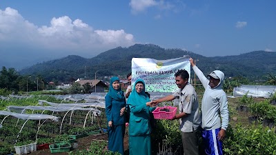 Photos of Bibit Tabulampot