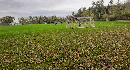 Fußballplatz TuS Hilgert - Thumbnail