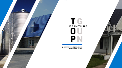 PEINTURE TOP GUN Logo