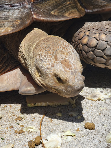 McCarthy's Wildlife Sanctuary - Thumbnail