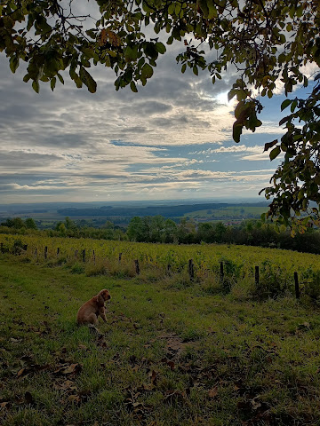 Domaine Enivrance by null