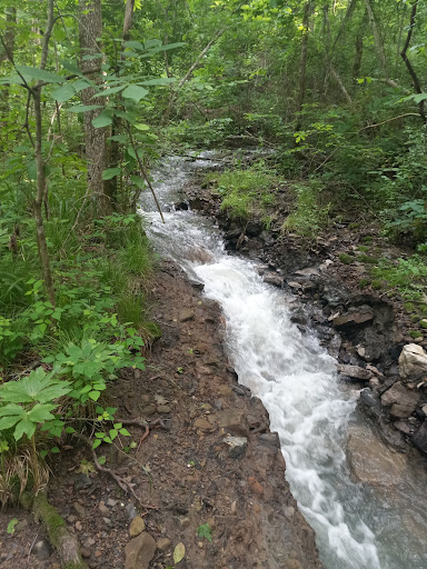 Big Creek Cave Falls - Thumbnail
