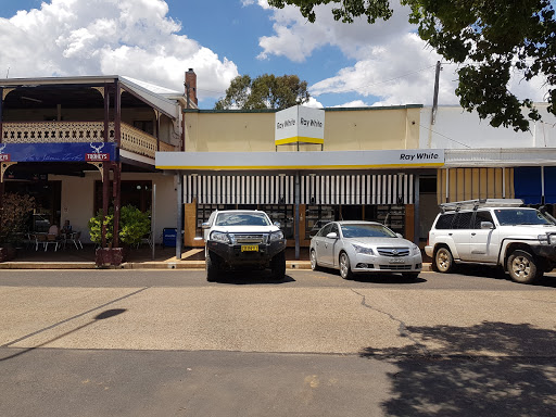 Ray White Rural Bingara