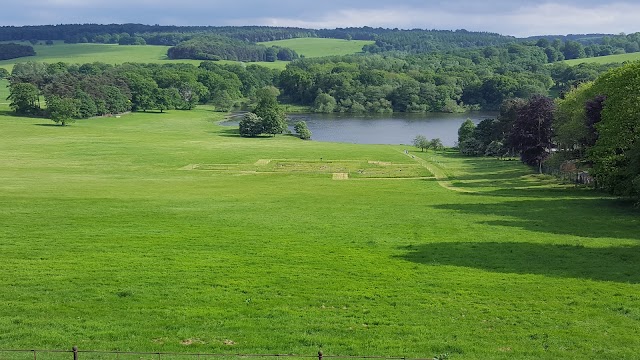 Harewood House