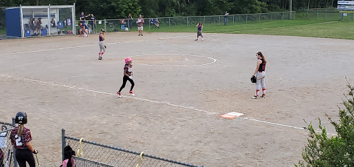 Lowell Bluebirds Softball - Thumbnail