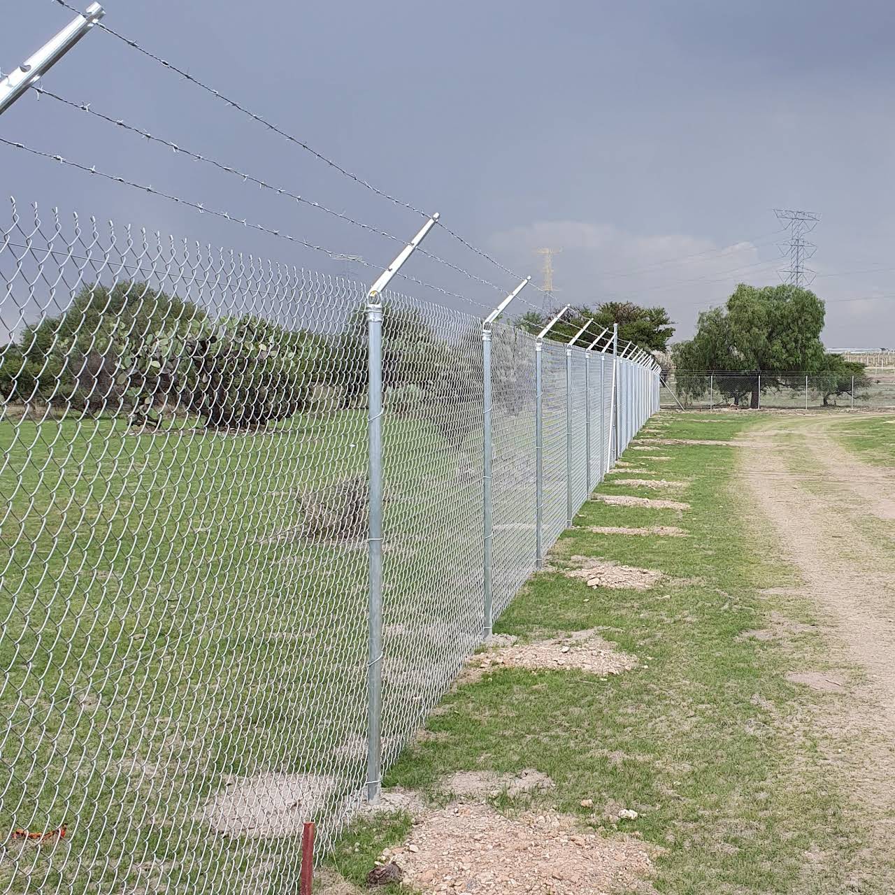 Lista 105+ Foto Cercas De Malla De La Frontera Mirada Tensa