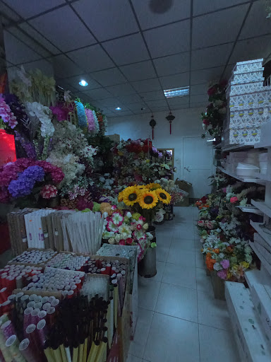 Moda J China - Visual