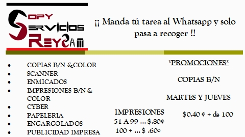 COPY SERVICIOS REYZAM - Thumbnail