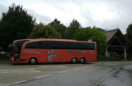 Maga Tour Di Dalla Fontana Gianni & C. (S.N.C.)