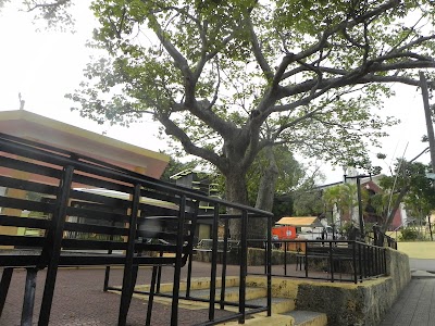 Photos of Central Park Paradise Barahona