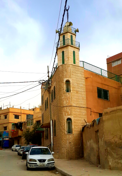 Photos of Amer Mosque