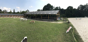 Photo n°7 de Écurie de l’Hélix à Bourron-Marlotte (Centre équestre)