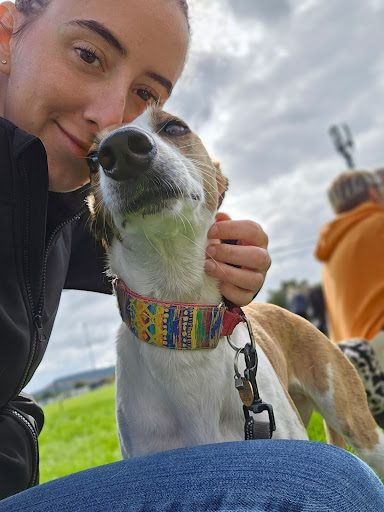 Gina cook veterinary physiotherapy - Thumbnail