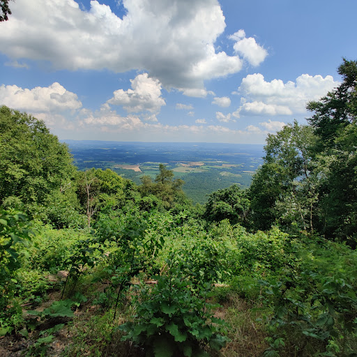 Tuscarora State Forest - Thumbnail