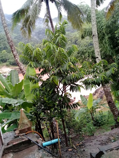 Photos of Vatsana Guesthouse