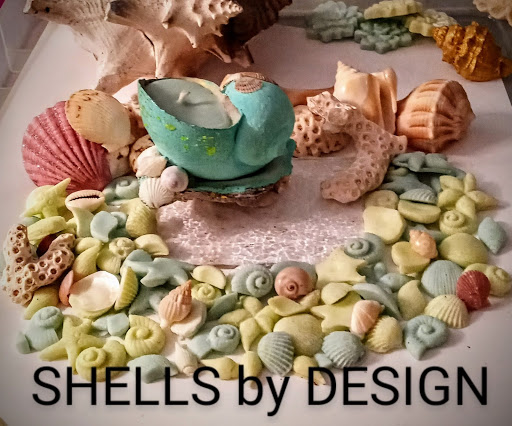 Shells by DESIGN LLC - Thumbnail