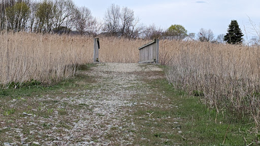 Passanageset Park at Broad Meadows Marsh - Thumbnail