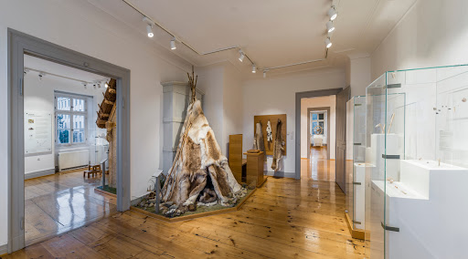 Archäologisches Hegau-Museum Singen