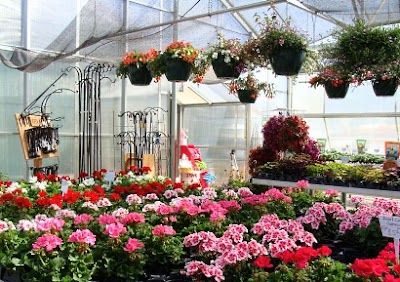 Three Oaks Greenhouse Floral and Gift