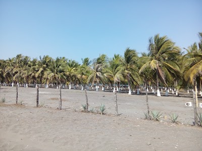 Photos of Reserva Natural Privada Manchon Guamuchal