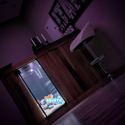 Photos of AQUATIC LIFE Co. glass