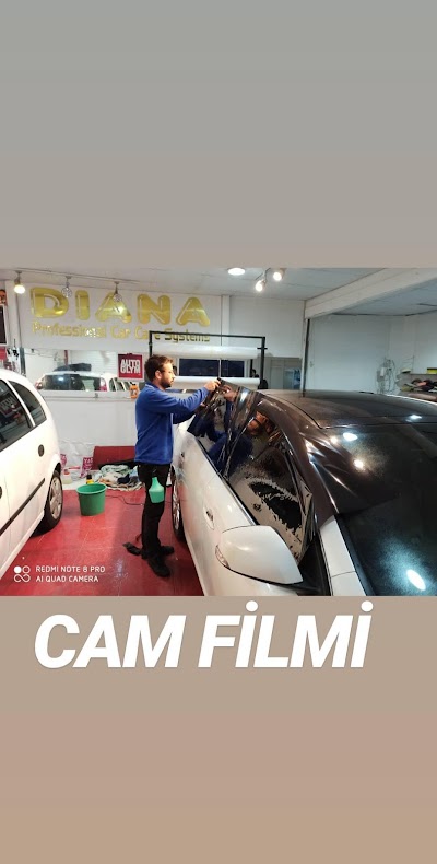 Diana Car Wash