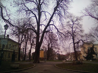 Photos of Pushkin Park