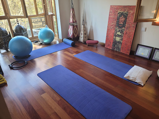 Adela Pilates a domicilio - Thumbnail