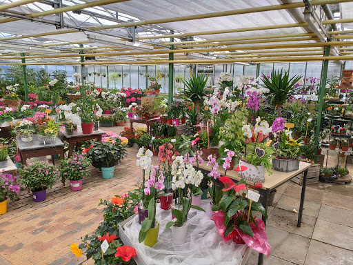 Espace fleurs NEILZ Végétalerie, Vendôme - Thumbnail