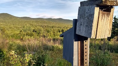 Goshen Blueberry Management Area