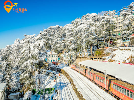 Looking for the best tour and travel in Shimla? Him Gaurav Travels is your go-to provider for all… post image