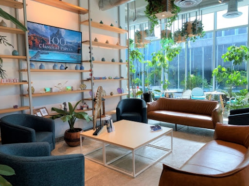 Lic. Emmanuel Alvarez del Castillo, Psicólogo