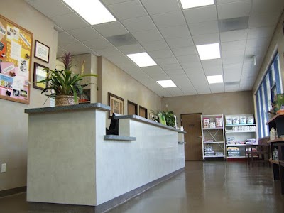 Photos of True care