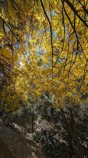 Grand Avenue Trail - Thumbnail