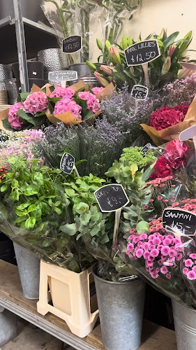https://www.instagram.com/theplantwarehouse/