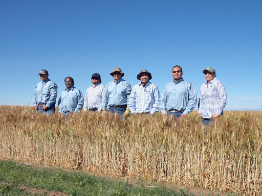 Navajo Agricultural Products Industry, NAPI - Thumbnail